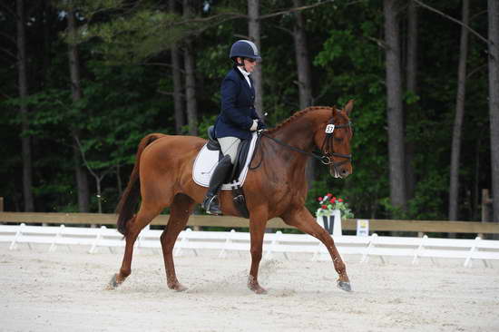 So8ths-5-4-12-Dressage-0417-KerryTracey-BourbonGingerbear-DDeRosaPhoto