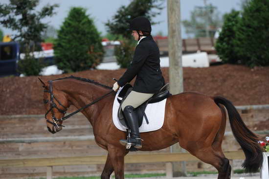 So8ths-5-4-12-Dressage-0430-LaurenTracey-Ransom-DDeRosaPhoto