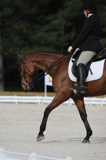 So8ths-5-4-12-Dressage-0434-LaurenTracey-Ransom-DDeRosaPhoto