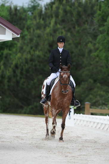 So8ths-5-4-12-Dressage-0450-JordanLambert-RioWild-DDeRosaPhoto