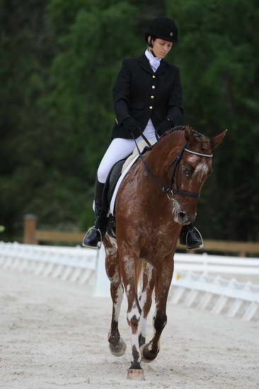 So8ths-5-4-12-Dressage-0451-JordanLambert-RioWild-DDeRosaPhoto