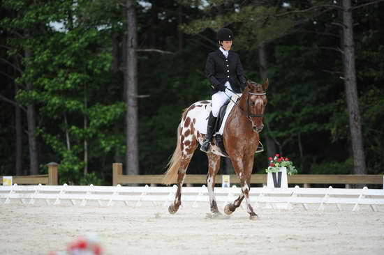 So8ths-5-4-12-Dressage-0461-JordanLambert-RioWild-DDeRosaPhoto