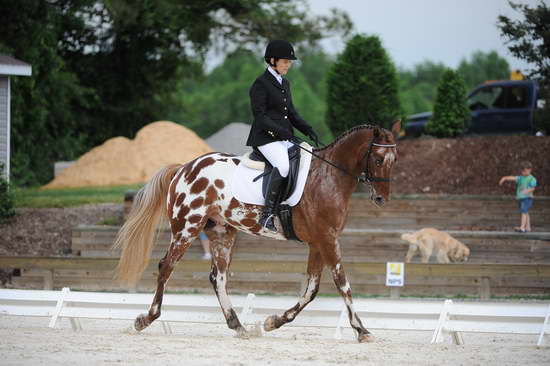 So8ths-5-4-12-Dressage-0462-JordanLambert-RioWild-DDeRosaPhoto