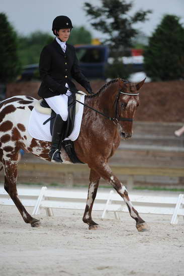 So8ths-5-4-12-Dressage-0464-JordanLambert-RioWild-DDeRosaPhoto