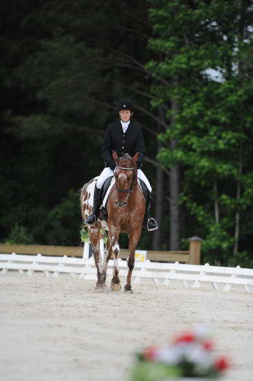 So8ths-5-4-12-Dressage-0465-JordanLambert-RioWild-DDeRosaPhoto