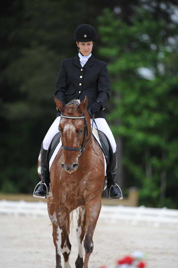 So8ths-5-4-12-Dressage-0466-JordanLambert-RioWild-DDeRosaPhoto