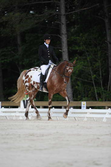 So8ths-5-4-12-Dressage-0470-JordanLambert-RioWild-DDeRosaPhoto