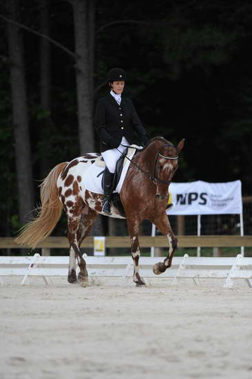 So8ths-5-4-12-Dressage-0471-JordanLambert-RioWild-DDeRosaPhoto