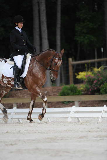 So8ths-5-4-12-Dressage-0473-JordanLambert-RioWild-DDeRosaPhoto