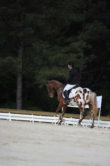 So8ths-5-4-12-Dressage-0482-JordanLambert-RioWild-DDeRosaPhoto