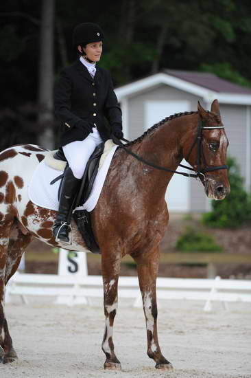 So8ths-5-4-12-Dressage-0487-JordanLambert-RioWild-DDeRosaPhoto