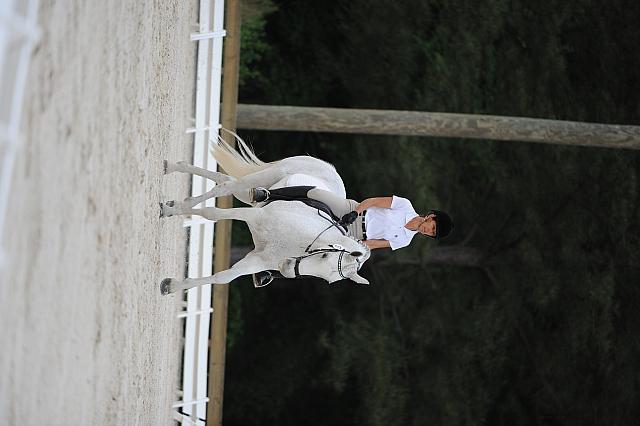 So8ths-5-4-12-Dressage-0524-CathyBlackmon-HideawaysSpecialDelivery-DDeRosaPhoto