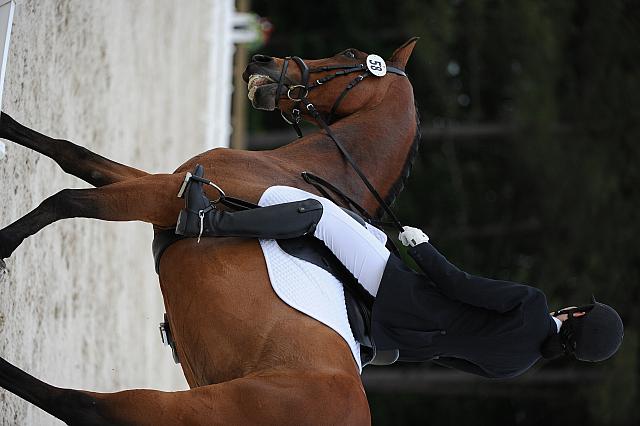 So8ths-5-4-12-Dressage-0582-RachelWade-Nicole-DDeRosaPhoto