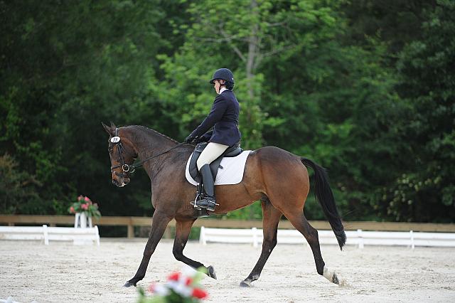 So8ths-5-4-12-Dressage-0602-LindsayStaianoWilliams-TriumphII-DDeRosaPhoto