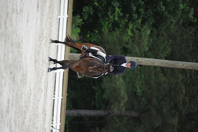 So8ths-5-4-12-Dressage-0604-LindsayStaianoWilliams-TriumphII-DDeRosaPhoto