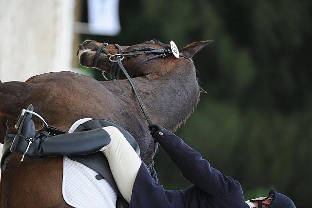 So8ths-5-4-12-Dressage-0610-LindsayStaianoWilliams-TriumphII-DDeRosaPhoto