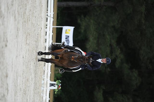 So8ths-5-4-12-Dressage-0611-LindsayStaianoWilliams-TriumphII-DDeRosaPhoto