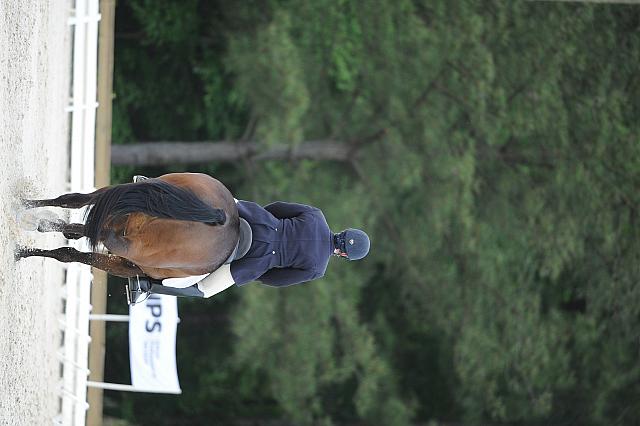 So8ths-5-4-12-Dressage-0617-LindsayStaianoWilliams-TriumphII-DDeRosaPhoto