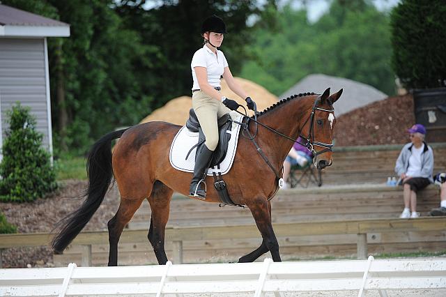 So8ths-5-4-12-Dressage-0663-AllieKeresman-MysticDora-DDeRosaPhoto