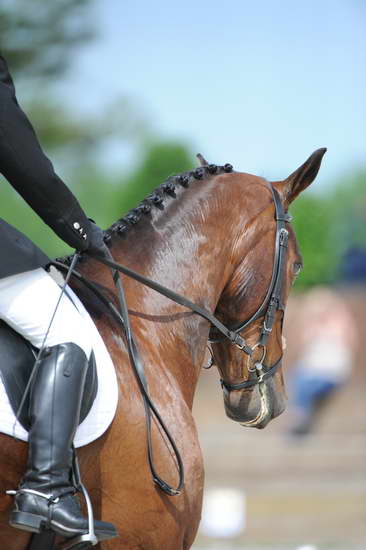 So8ths-5-4-12-Dressage-0742-HeidiBeaumont-SouthBoundary-DDeRosaPhoto