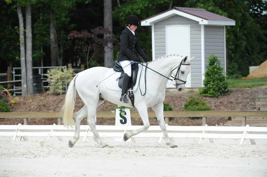 So8ths-5-4-12-Dressage-0790-KaylinMedlin-Watch-Me-Now-DDeRosaPhoto