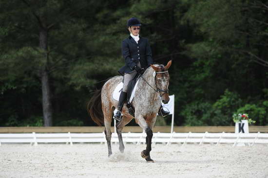 So8ths-5-4-12-Dressage-0797-RisaMoon-LilyB-DDeRosaPhoto