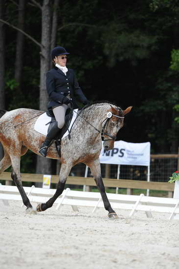 So8ths-5-4-12-Dressage-0800-RisaMoon-LilyB-DDeRosaPhoto