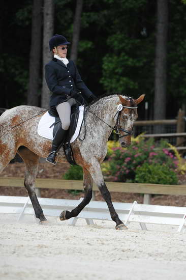 So8ths-5-4-12-Dressage-0801-RisaMoon-LilyB-DDeRosaPhoto