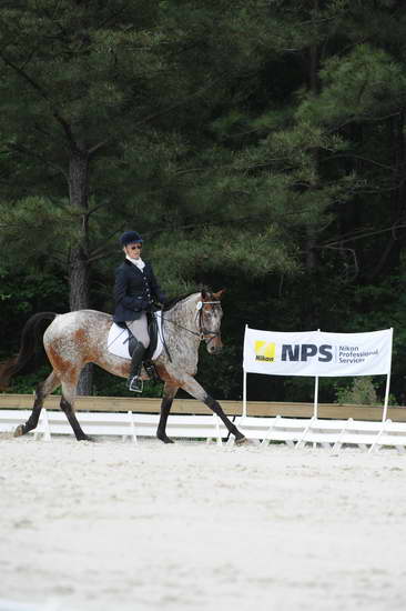 So8ths-5-4-12-Dressage-0805-RisaMoon-LilyB-DDeRosaPhoto