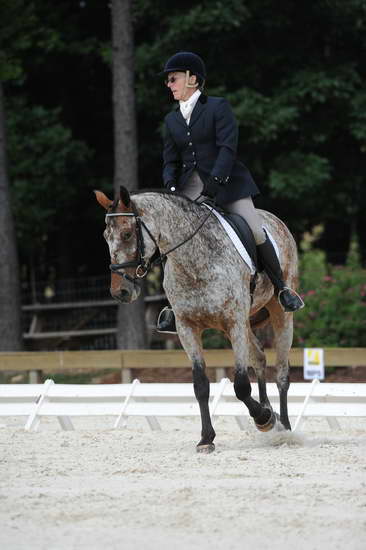 So8ths-5-4-12-Dressage-0811-RisaMoon-LilyB-DDeRosaPhoto