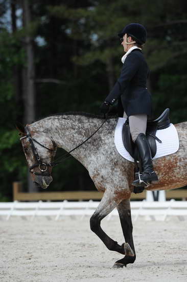 So8ths-5-4-12-Dressage-0812-RisaMoon-LilyB-DDeRosaPhoto