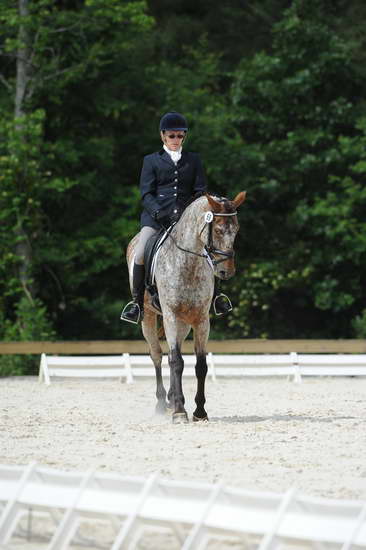 So8ths-5-4-12-Dressage-0820-RisaMoon-LilyB-DDeRosaPhoto