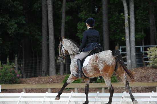 So8ths-5-4-12-Dressage-0825-RisaMoon-LilyB-DDeRosaPhoto