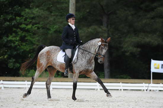 So8ths-5-4-12-Dressage-0827-RisaMoon-LilyB-DDeRosaPhoto