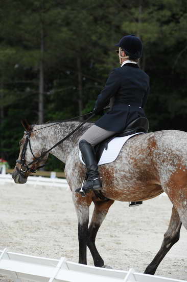 So8ths-5-4-12-Dressage-0836-RisaMoon-LilyB-DDeRosaPhoto