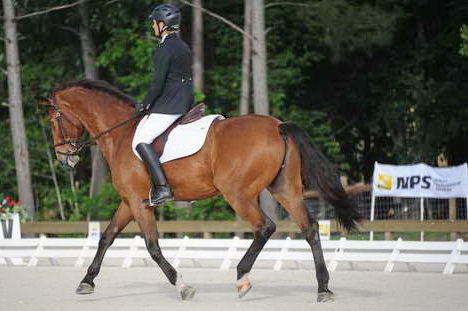 So8ths-5-4-12-Dressage-0323-BevWarner-Arnold-DDeRosaPhoto