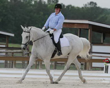 So8ths-5-4-12-Dressage-0371-MichaelLindsey-OnlyToYou-DDeRosaPhoto