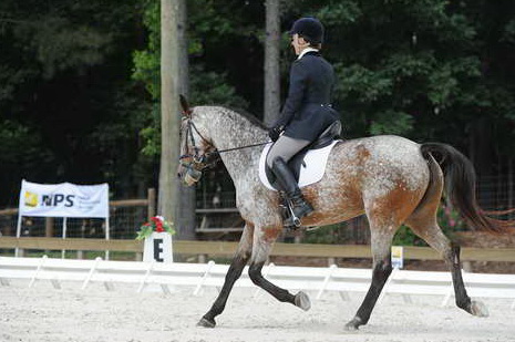 So8ths-5-4-12-Dressage-0810-RisaMoon-LilyB-DDeRosaPhoto