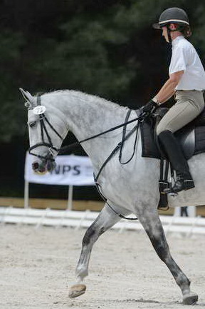 So8ths-5-4-12-Dressage-0957-MicheleLobsinger-GlenlarasPride-DDeRosaPhoto