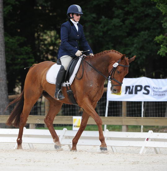 So8ths-5-4-12-Dressage-0407-KerryTracey-BourbonGingerbear-DDeRosaPhoto