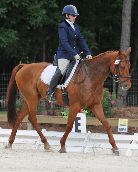 So8ths-5-4-12-Dressage-0410-KerryTracey-BourbonGingerbear-DDeRosaPhoto