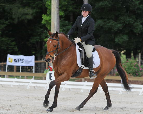 So8ths-5-4-12-Dressage-0441-LaurenTracey-Ransom-DDeRosaPhoto