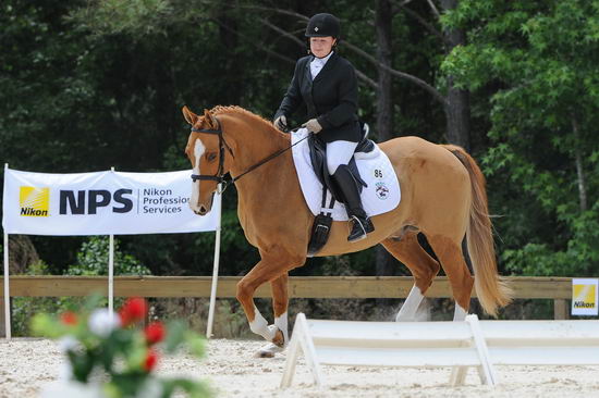 So8ths-5-4-12-Dressage-1364-SarahZimmer-MardiGras-DDeRosaPhoto