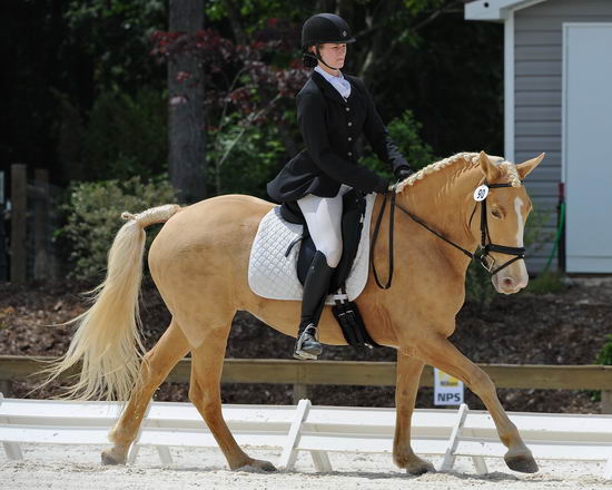 So8ths-5-4-12-Dressage-1417-JamieMiess-InTheZone-DDeRosaPhoto