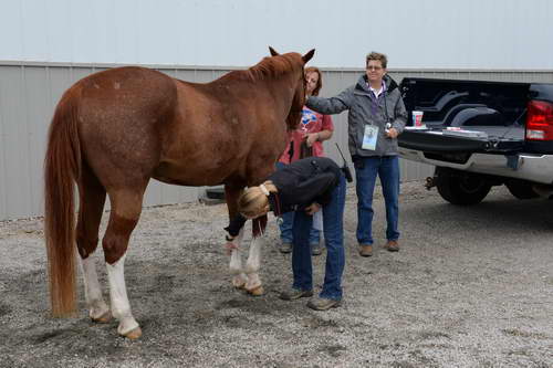 So8ths-5-2-13-Clinics-4573-DDeRosaPhoto