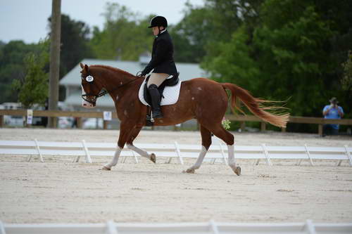 So8ths-5-3-13-Dressage-5316-ErinHite-Codachrome-DDeRosaPhoto