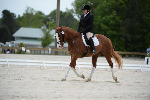 So8ths-5-3-13-Dressage-5322-ErinHite-Codachrome-DDeRosaPhoto