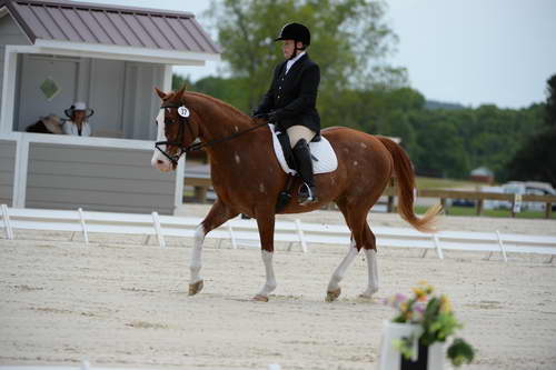 So8ths-5-3-13-Dressage-5323-ErinHite-Codachrome-DDeRosaPhoto