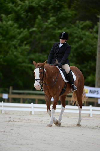 So8ths-5-3-13-Dressage-5330-ErinHite-Codachrome-DDeRosaPhoto