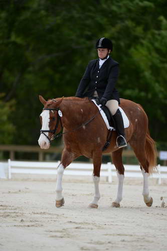 So8ths-5-3-13-Dressage-5331-ErinHite-Codachrome-DDeRosaPhoto